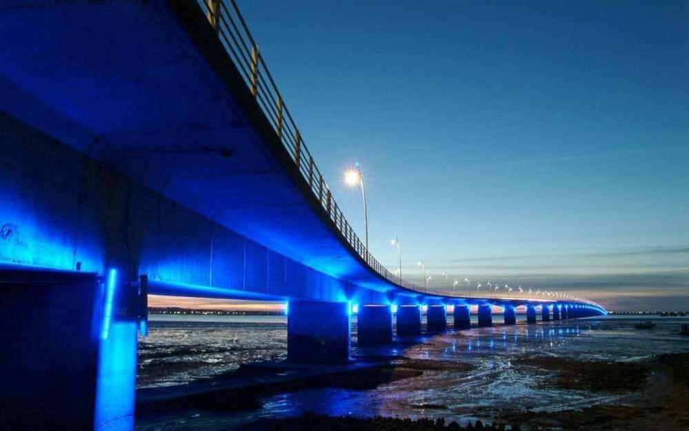 Mer A 200M,,Ds Les Mimosas En Fleur ! Ronce-les-Bains Εξωτερικό φωτογραφία